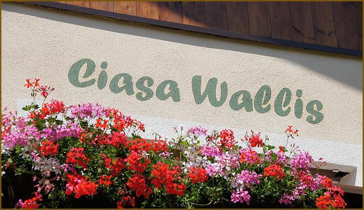 Ciasa Wallis Badia  Kültér fotó